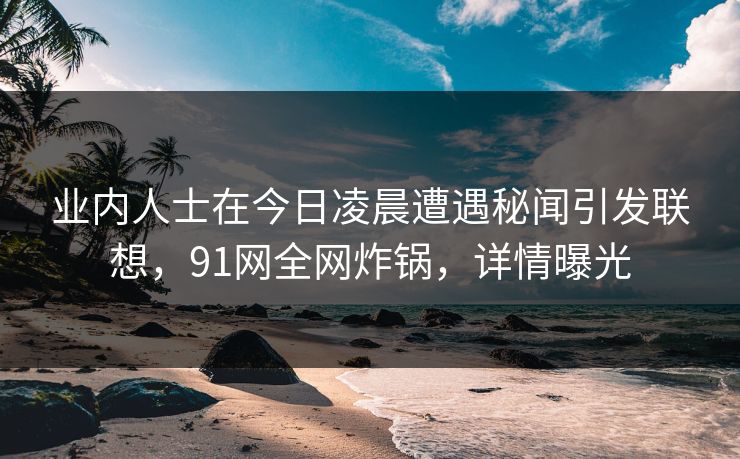 业内人士在今日凌晨遭遇秘闻引发联想，91网全网炸锅，详情曝光